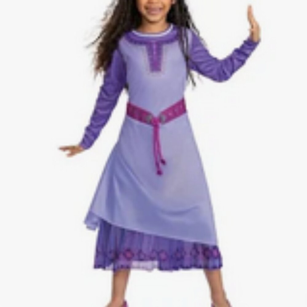 Princess Asha Costume, Women's XS